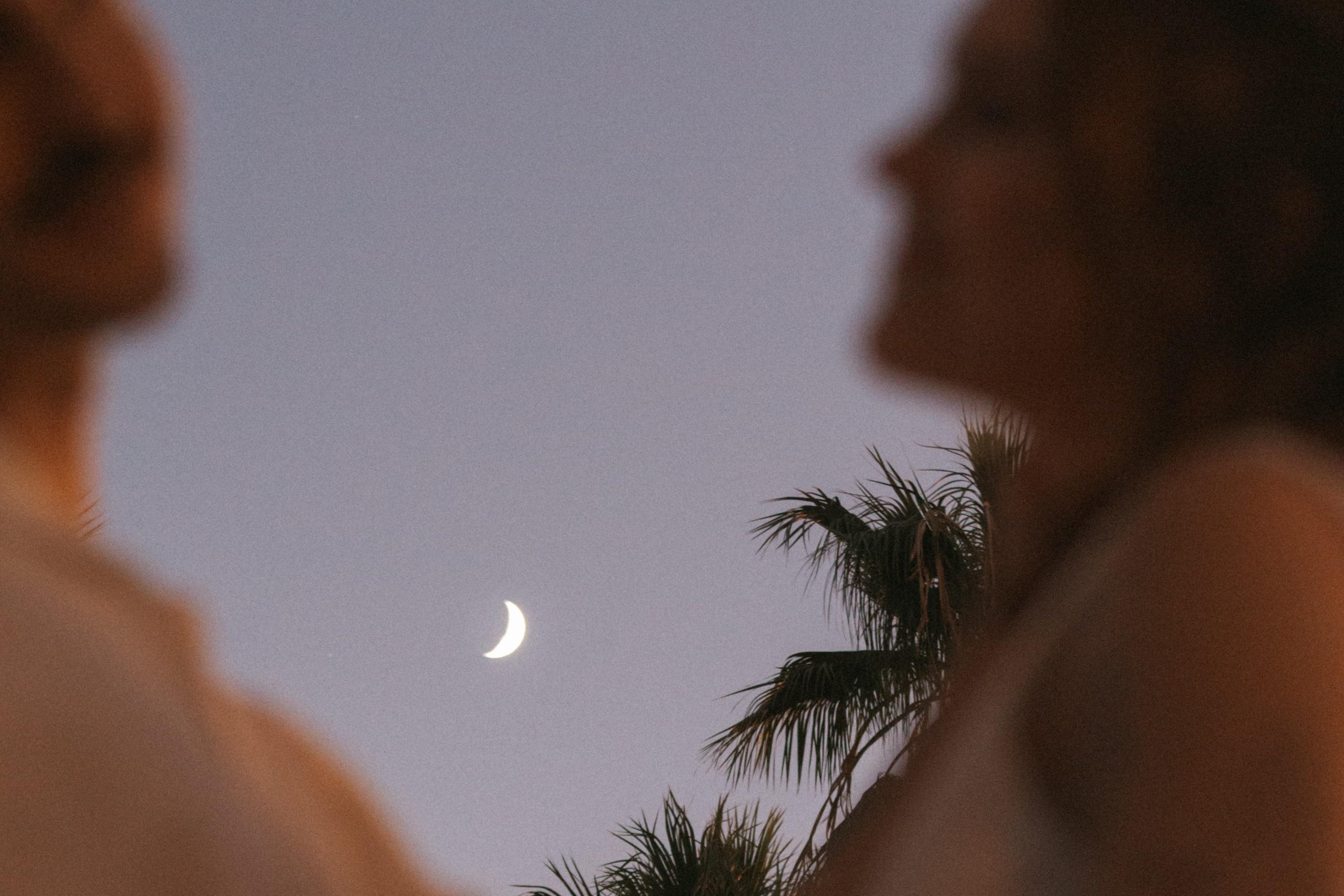 carousel-hero-element image-1